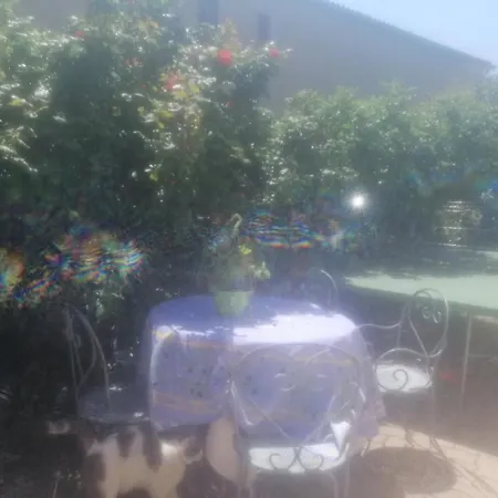 De A A 10 Minutes Environ Du De Sainte Croix Du Verdon Riez